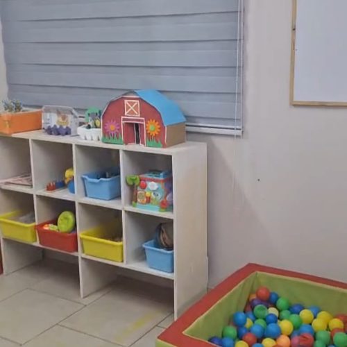 WhatsApp Image 2026-02-10 at 13.47.07